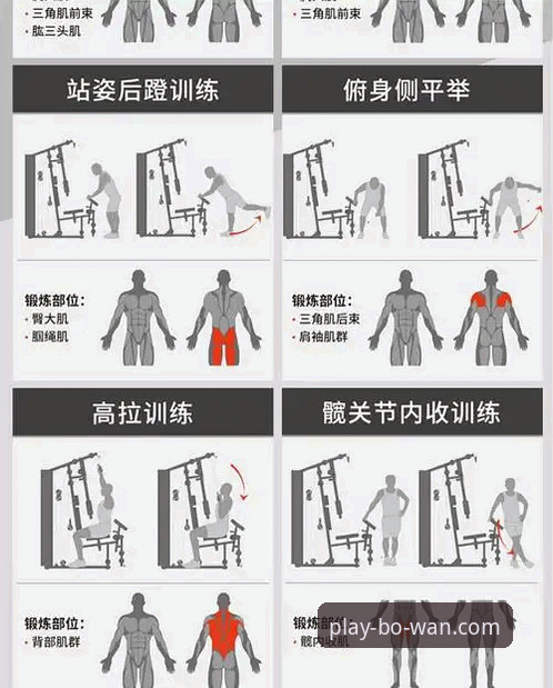 博万体育数据使用详解：新手入门到熟练操作全指南